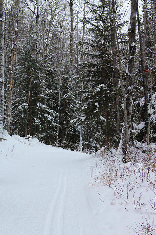 Muskeg Creek Trail 3