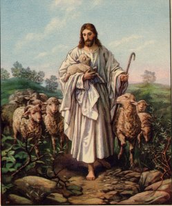 Jesus and sheep